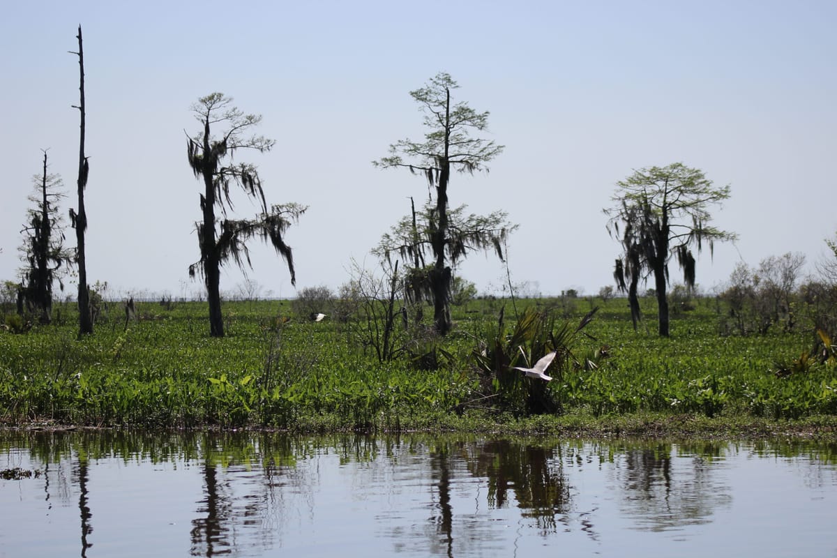 Like carbon dioxide, this Louisiana task force’s work is deep underground