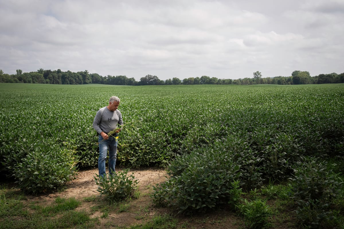 Fossil fuel interests are working to kill solar in one Ohio county. The hometown newspaper is helping.