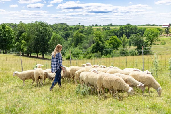 ‘Chaotic’ USDA funding freeze stalls rural renewable projects